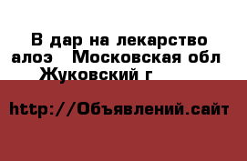 В дар на лекарство алоэ - Московская обл., Жуковский г.  »    